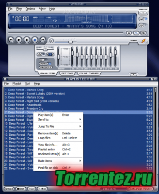 Winamp 5.6 (2010) PC
