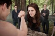 . . :  2 / The Twilight Saga: Breaking Dawn - Part 2 (2012)