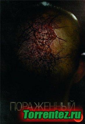  / Afflicted (2013) HDRip