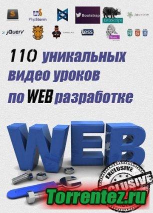 110     web  (2014) 