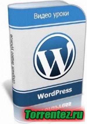     WordPress (2014) WEBRip